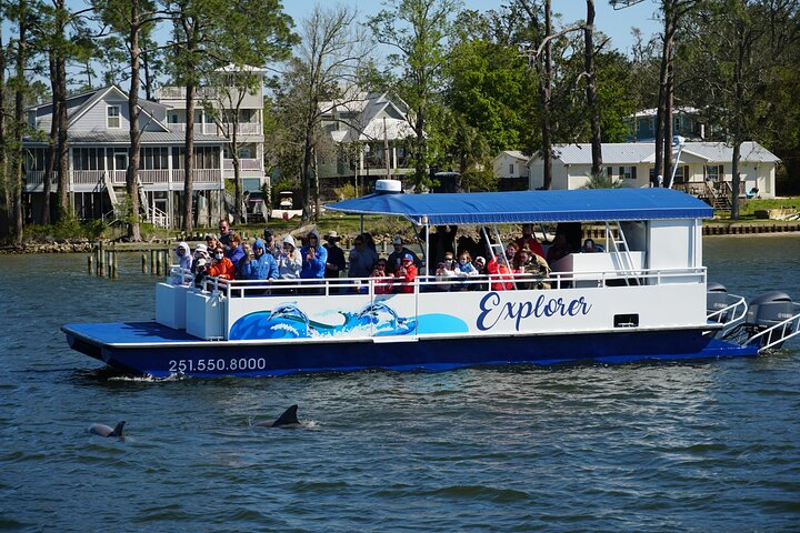 2-Hour Dolphin and Nature Eco Tour from Orange Beach - Photo 1 of 7